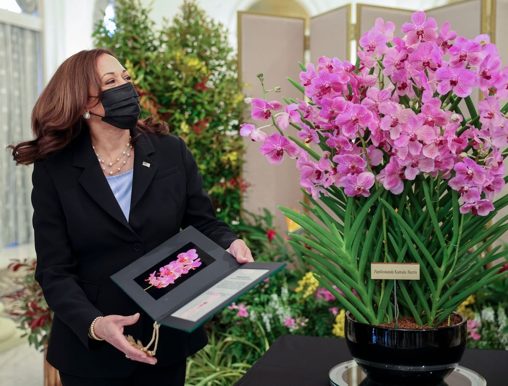 US-Vizepräsidentin Kamala Harris posiert neben Papilionanda Kamala Harris während einer Orchideentaufe. Singapur hat anlässlich des Besuchs von US-Vizepräsidentin Kamala Harris eine Orchidee nach der demokratischen Politikerin benannt.