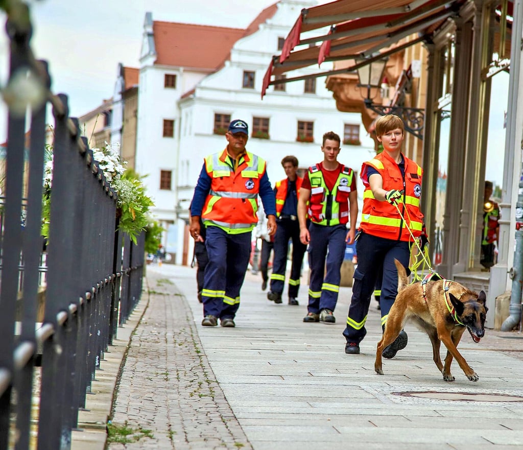 Das Team ist in der Wittenberger Innenstadt auf der Suche.