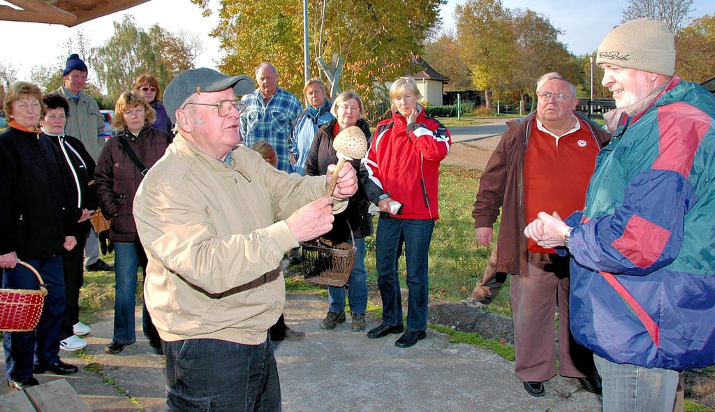 Der Botaniker Wolfgang Fischer wertete im Oktober 2009 nach einer Pilzexkursion des Naturschutzverein in Wöplitz die vielen Funde aus.