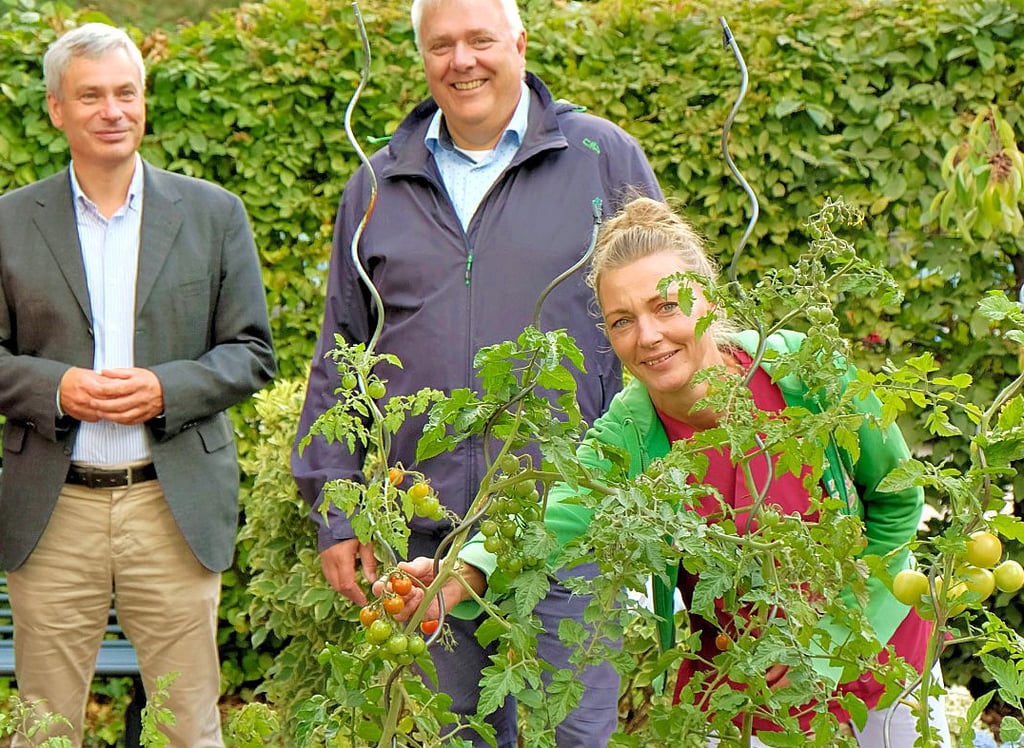 Ergotherapeutin Andrea Schrader erntet für die Besucher – hier Chefarzt Dr. Christian Algermissen und Blankenburgs Sparkassen-Chef Steffen Raßfeld (von links) - Tomaten aus eigenem Anbau.