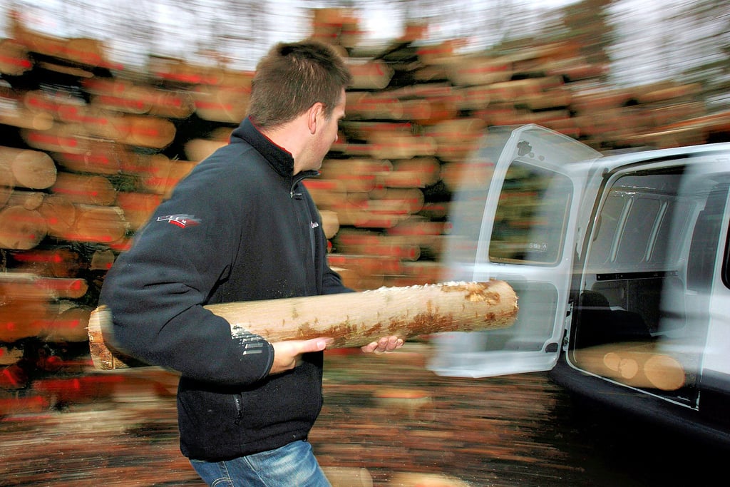 Situationen wie diese soll es in den vergangenen zwei Jahren immer häufiger geben: Ein Mann bedient sich, wie diese gestellte Szene zeigt, eines Baumstammes und belädt seinen Transporter. Doch Holzdiebstahl ist kein Kavaliersdelikt.