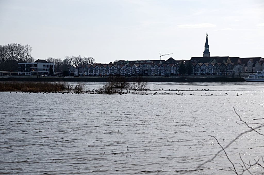 Um Schönebeck vor Hochwasser zu schützen, soll ein weiteres Projekt umgesetzt werden - doch die Planungen stocken