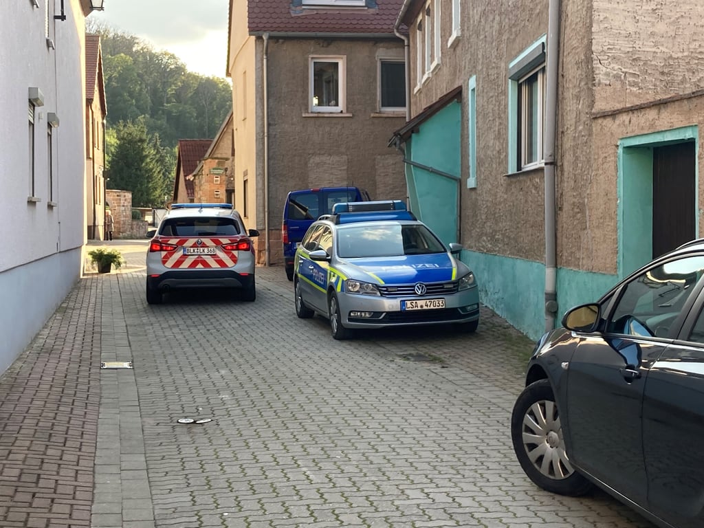 Fahrzeuge von Polizei und Landkreis vor dem Haus der Besitzerin von Leoparden in Wangen.