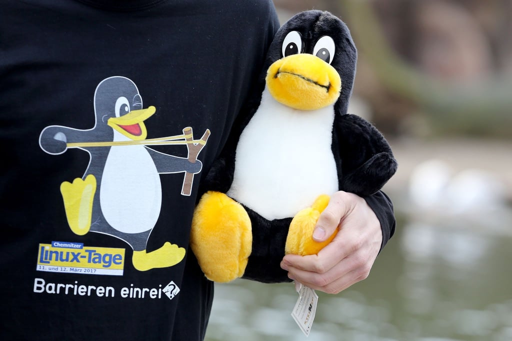 Ein Linux-Maskottchen, der Pinguin Tux.
