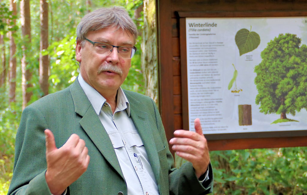 Stefan Quitt, dr Leiter des Betreuungsforstamtes Letzlingen, steht an der Tafel, die Wissenswertes über die Winterlinde berichtet.