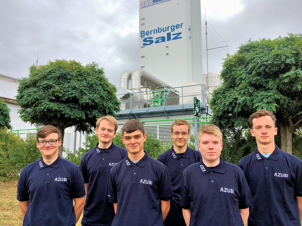 Sie sind die neuen Azubis im Salzwerk: Maximilian Haack (von links/Elektroniker), Niels Friedrich (Bergbautechnologe), Niels Zachlod (Elektroniker), Tadeusz Glowka (Bergbautechnologe), Nico Haft (Industriemechaniker) und Toni Driemecker (Industriemechaniker).