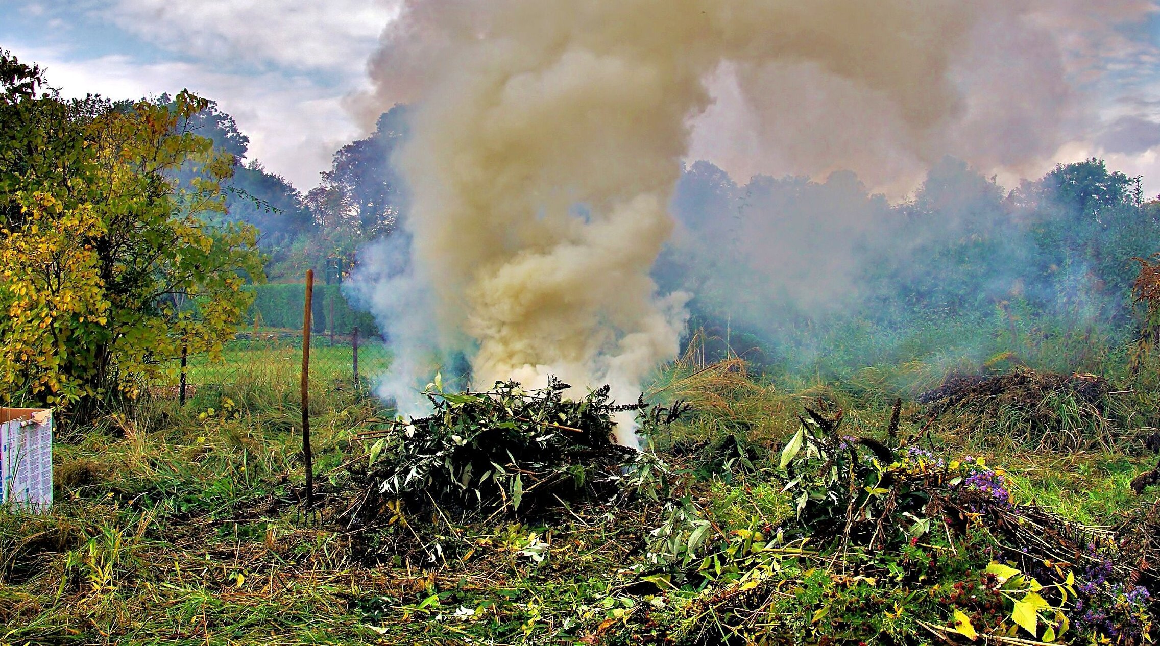 Gartenfeuer in Stendal könnten eine Sonderstellung bekommen. Stadtrat Thomas Weise (CDU) schlägt vor, das Verbrennen von Gartenabfällen nur in der Kernstadt zu verbieten. 