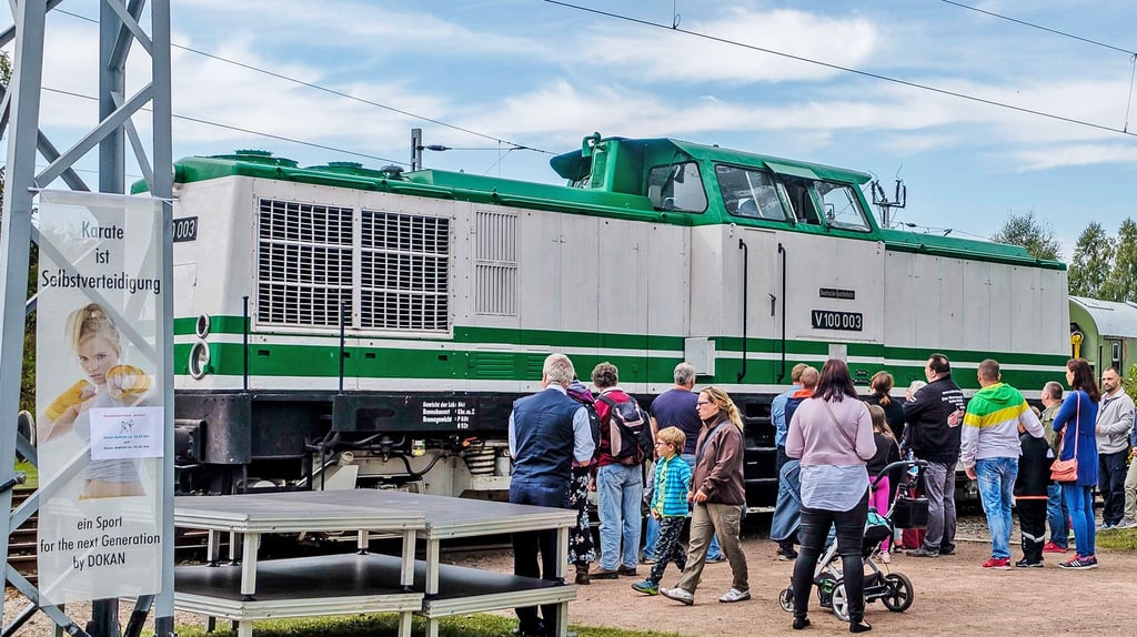 Das ist die Vereinslok V 100 003. Gebaut 1965, wurde sie zuletzt auf der Heidebahn eingesetzt. Dieses Foto ist eine Archivaufnahme, denn derzeit befindet sich das Fahrzeug - teils auseinandergebaut - beim Tüv.