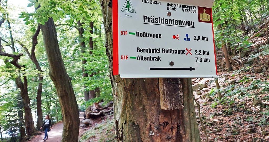 Der Präsidentenweg zur Rosstrappe gehört zu einer Reihe von Pfaden, die laut Harzklub-Zweigverein in den nächsten Jahren saniert werden müssen.