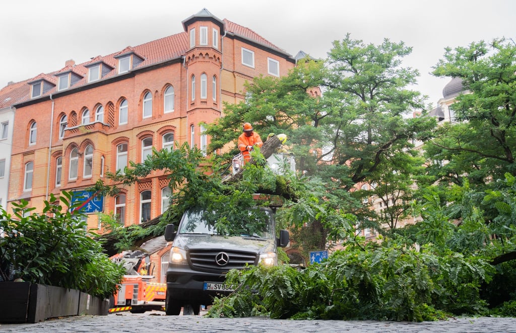 Feuerwehrkräfte zersägen einen Baum, der auf einen Kleintransporter gestürzt war.