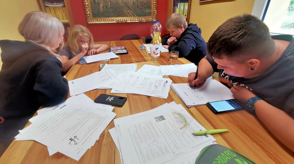 Entweder gemeinsam oder alleine durften die Schüler ihre Aufgaben erledigen. Überprüft wurden diese von Lehrern der Kreisvolkshochschule, die die Kinder betreut haben.