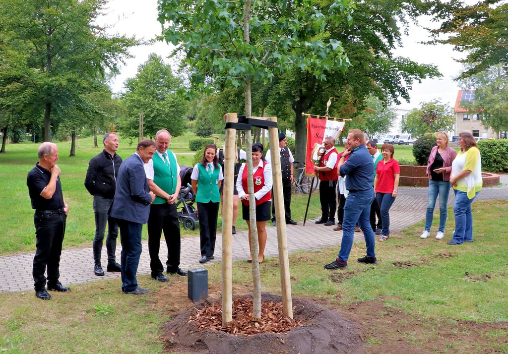 Die fünf Spielmannszüge, die im Stadtgebiet von Jessen bestehen, sind jetzt Baumpaten, ebenso der Schul- und Heimatfestverein.