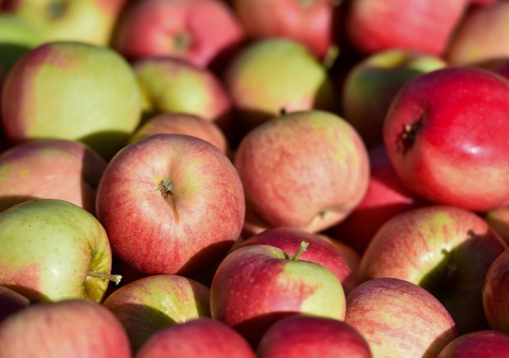 Äpfel auf einer Plantage.