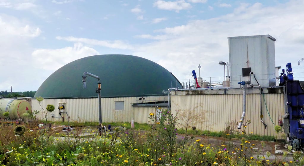 Die beiden Biogasanlagen der Agrargenossenschaft Bad Dürrenberg können jährlich etwa den Strombedarf von 2.500 Haushalten decken.