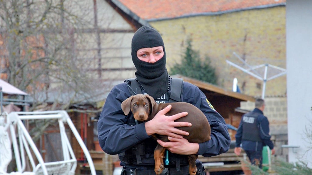 Eine Polizeibeamtin trägt einen kleinen Hund von einem Grundstück in Wienrode. Bei dieser Razzia im Februar 2019 wurden mehrere kupierte Dobermann-Welpen gerettet. Die hauptbeschuldigte Wienröderin ist inzwischen wegen Tierquälerei zu einer Geldstrafe von 4200 Euro verurteilt worden.
