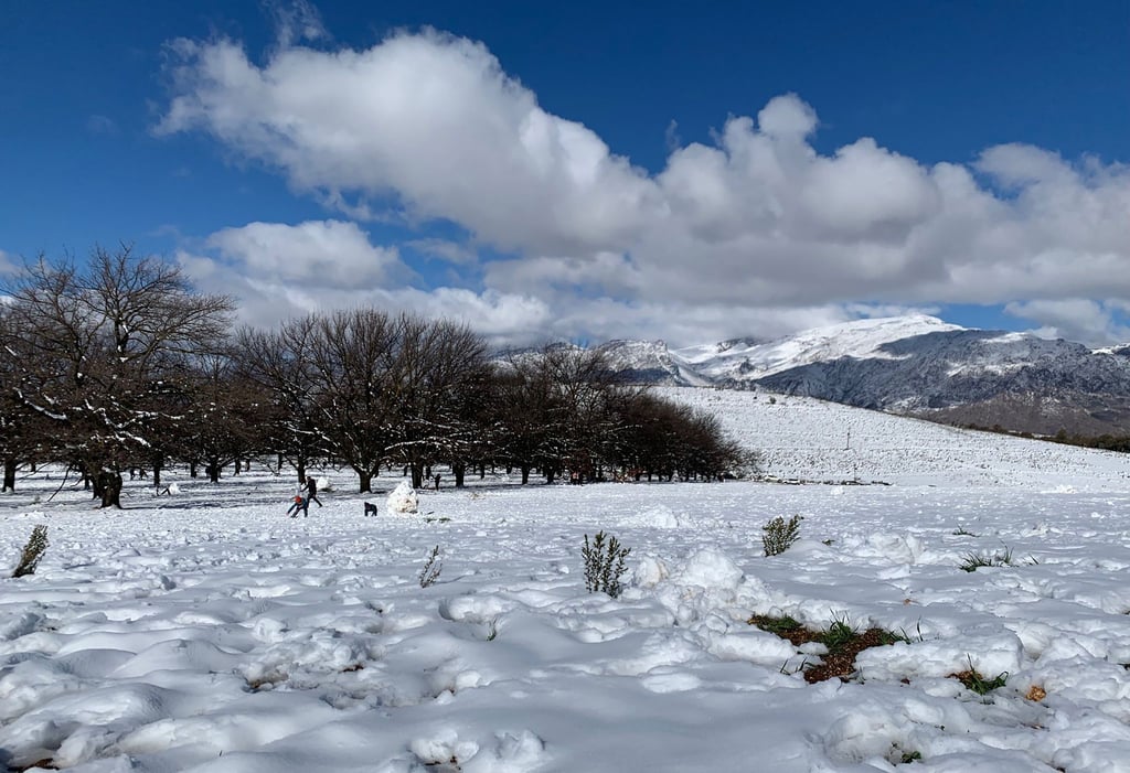Eine geschlossene Schneedecke hat sich in der Nähe von Ceres am Westkap von Südafrika gebildet.