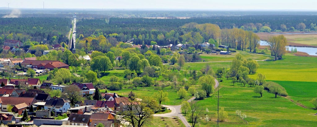 Im Überschwemmungsgebiet der alten Elbe standen in und um Jerichow mehrere Maulbeerbaumplantagen. Bauern fütterten auch ihre Schafe damit, weil dann angeblich die Wolle feiner wuchs.