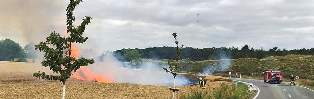 Gegenüber vom Kieswerk Suderode stand am 19. Juli ein Getreidefeld in Flammen. Auffällig ist, dass die Ackerbrände meist an Straßenrändern entstanden sind.