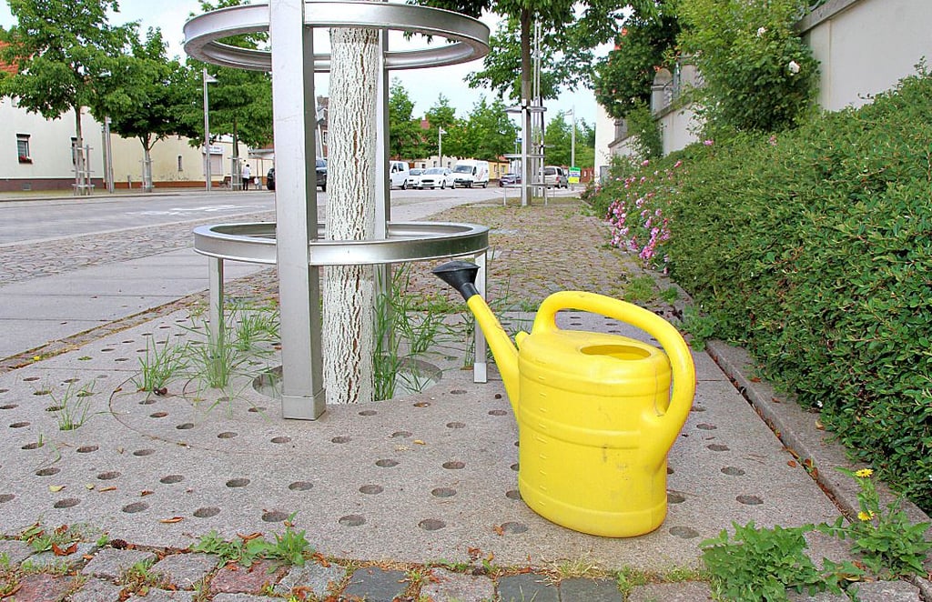 Barleber Bürger sind dazu aufgerufen, öffentliche Bäume an Straßenrändern oder auf Spielplätzen zu wässern.