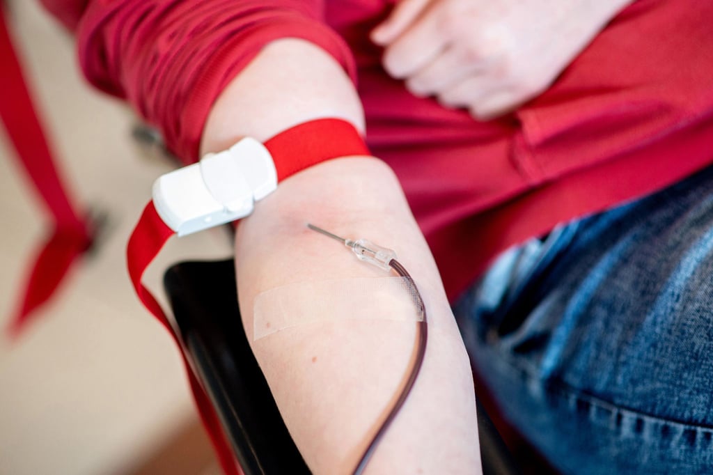 Blut läuft während einer Blutspende des Deutschen Roten Kreuzes (DRK) vom Arm einer Spenderin durch eine Nadel in einen Beutel.