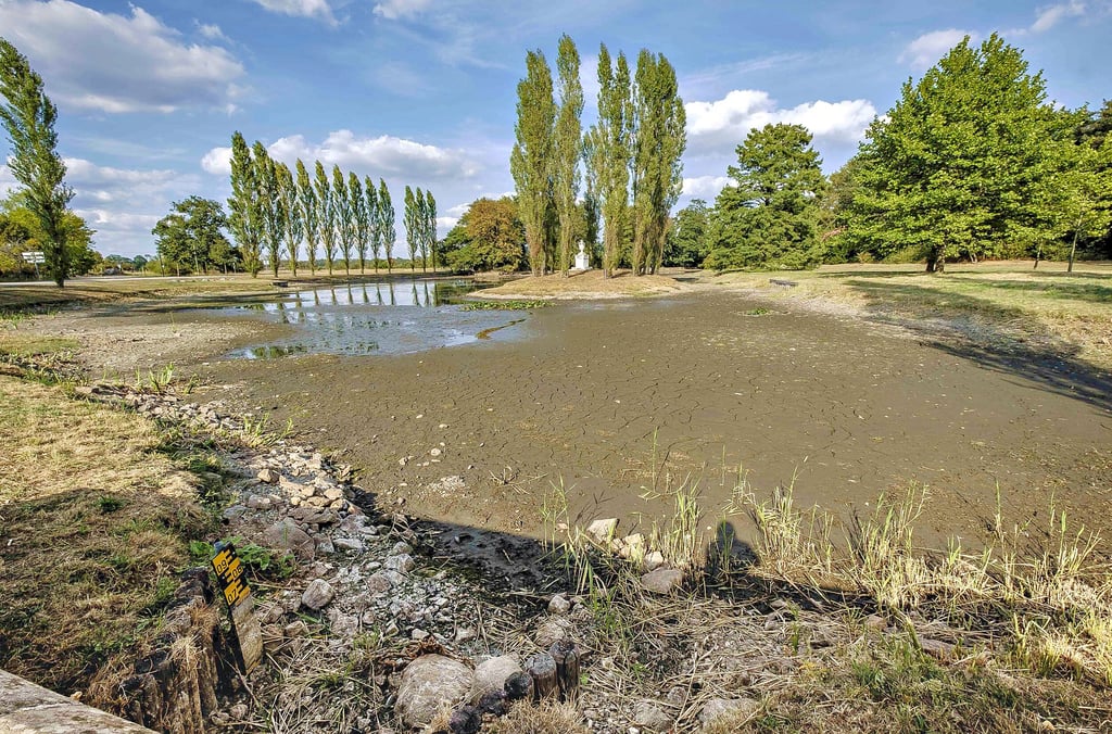 Im Jahr 2018 lag der See im Wörlitzer Park trocken. Solche Jahre könnten zum Normalfall werden, sagt das Landesamt für Umweltschutz vorher.