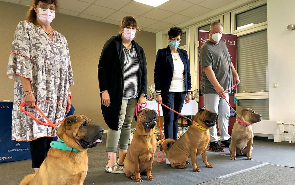 Stefenanie Kurz, stehend, 2.v.r., mit ihren vier Hunden Queen of the Hearts, Xanthi's Wrinkle Rita, Number Five Norma Jean und Oskar (v.l.), die von den Helfern nur schwer im Zaum zu halten sind.