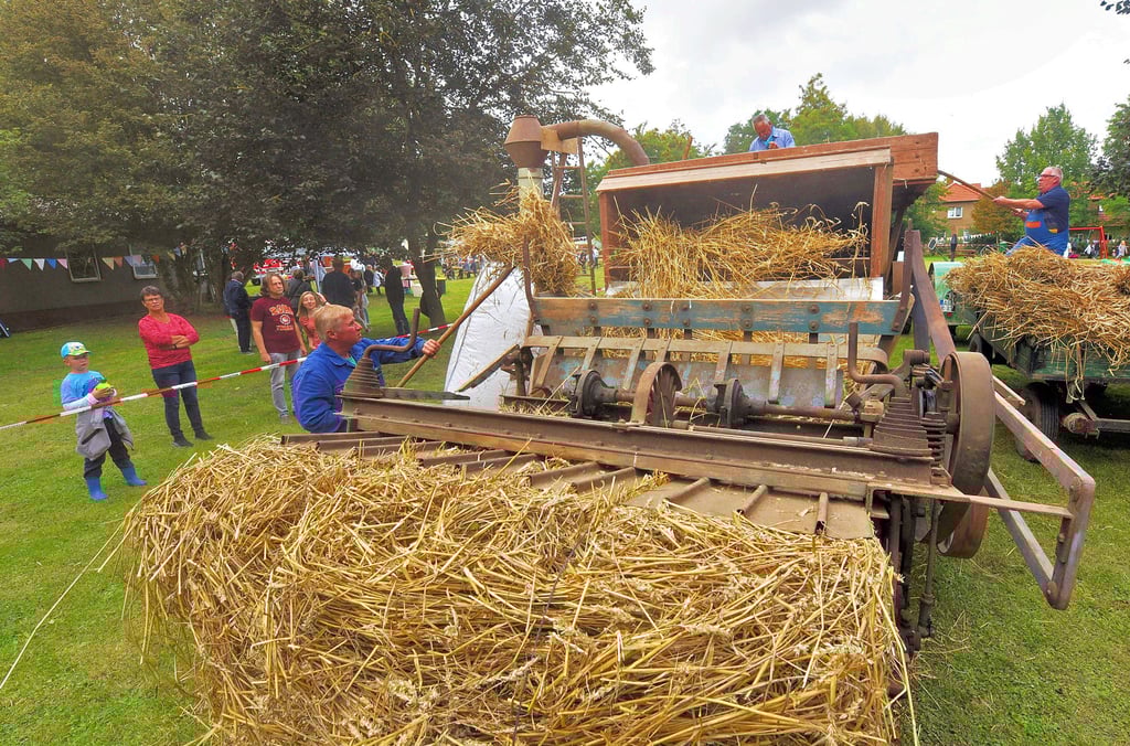 Das Schaudreschen ist einer der Höhepunkte des Winninger Sommer- und Kinderfestes, das von 200 Gästen besucht wurde.