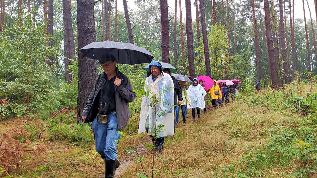 Mit Regenschutz und Schirm geht es auf Pfaden, die teils Bächlein geworden sind, durch den Wald.