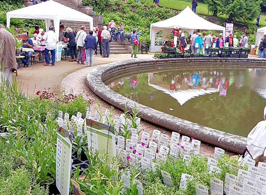 Im Schlosspark wird wieder zur Gartenlust eingeladen.