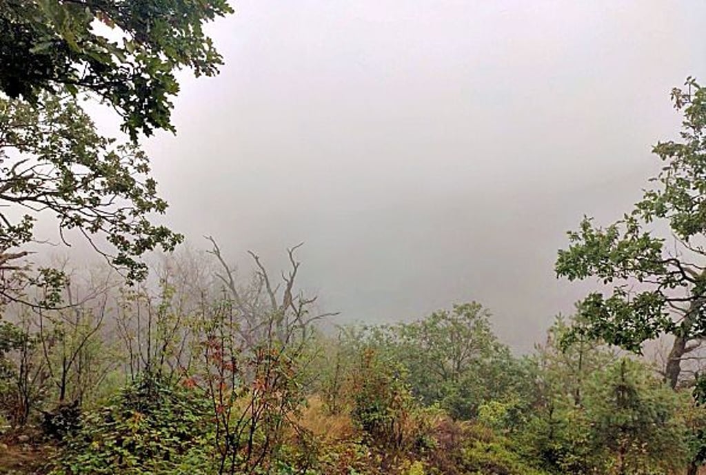 Statt Aussicht: Blick ins Grau
