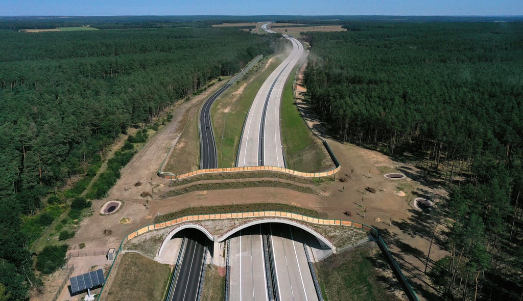 Die Nordverlängerung der A14 wird nach und nach fertig.