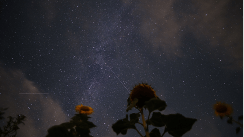 Die Milchstraße, der helle Lichtschweif in der Mitte, ist im September besonders gut zu sehen.