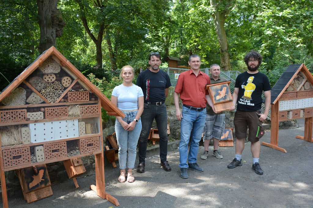 Nistkästen für Fledermäuse und Vögel sowie zwei große Insektenhotels entstanden für den Halberstädter Tiergarten im Rahmen des KOSTAA-Projektes. Stellvertretend übergaben die Teilnehmer Ekaterina Tabakareva, Anleiter Hardy Richter, Dmitrii Dremov und Viktor Schäfer die Objekte an David Neubert (von links).