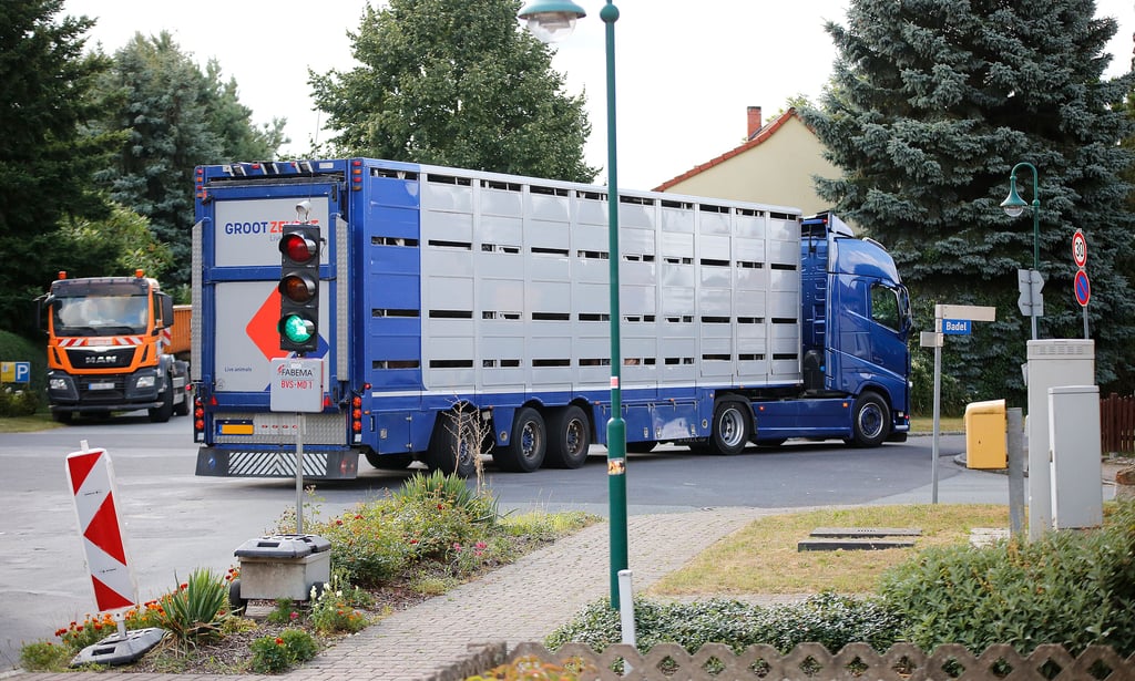 Seit Montag rollen unzählige Lastkraftwagen durch Badel, Zierau, Zethlingen und weitere Dörfer entlang der Umleitungsstrecke. Das jedoch nicht rechtens, da die eigentliche Umleitungsstrecke für Fahrzeuge dieser Größenordnung über Apenburg und Beetzendorf führt.