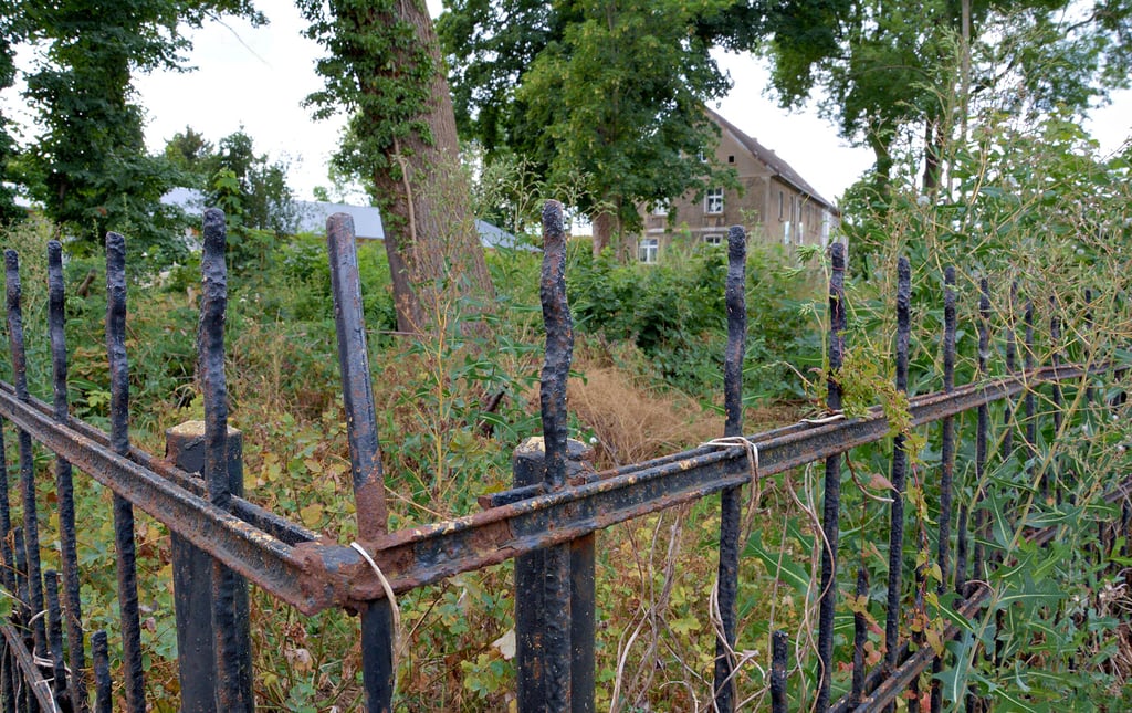 Das Grün hat im Gaus?schen Park an der Klötzer Bahnhofstraße wieder die Oberhand gewonnen. Schon lange ist geplant, das Gelände für Besucher herzurichten. Eigentlich sollte es im Frühjahr losgehen, passiert ist noch nichts. Bei dem Projekt arbeiten die Stadt und der Privateigentümer der Fläche zusammen.