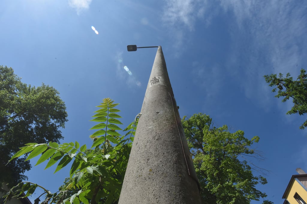 Über 450 Meldungen sind bis Ende Juli schon eingegangen bei der Stadt.
