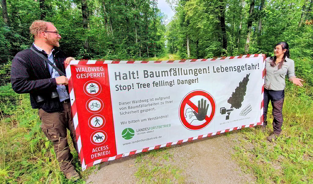 Der Forstbetrieb Ostharz muss Müncheberg und Silgenstieg sperren. An den Zugängen bringen Sarah Ehrich und Philipp Kob auffällige Banner an.