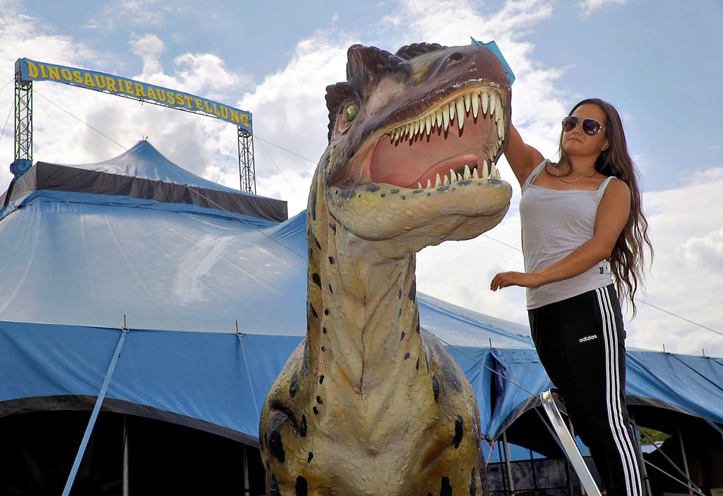 Sidney Freiwald putzt vor der Ausstellungseröffnung noch einmal die Dino-Figuren.