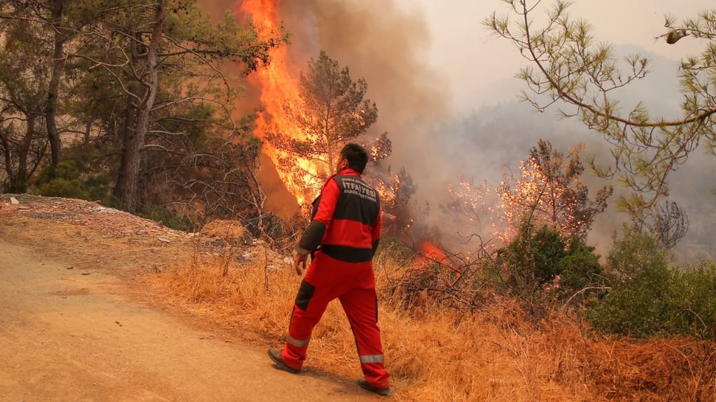 In der Türkei kämpfen Einsatzkräfte seit mehreren Tagen gegen Waldbrände. Foto: Ivan Nikiforov/AP/dpa