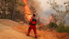 In der Türkei kämpfen Einsatzkräfte seit mehreren Tagen gegen Waldbrände. Foto: Ivan Nikiforov/AP/dpa