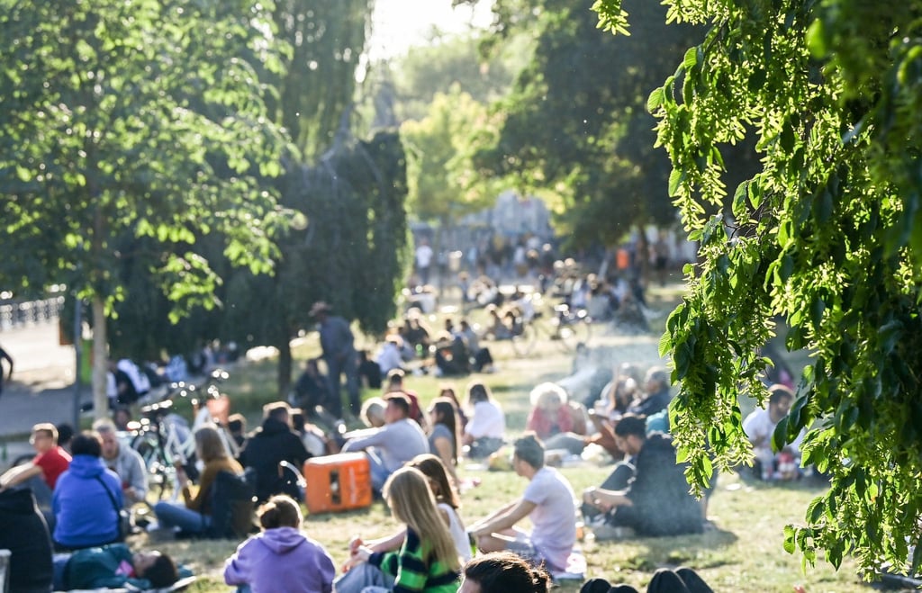 Zahlreiche Menschen sitzen im Licht der untergehenden Sonne auf einer Wiese im James-Simon-Park. Abends und nachts soll der Besuch künftig nicht mehr erlaubt sein.
