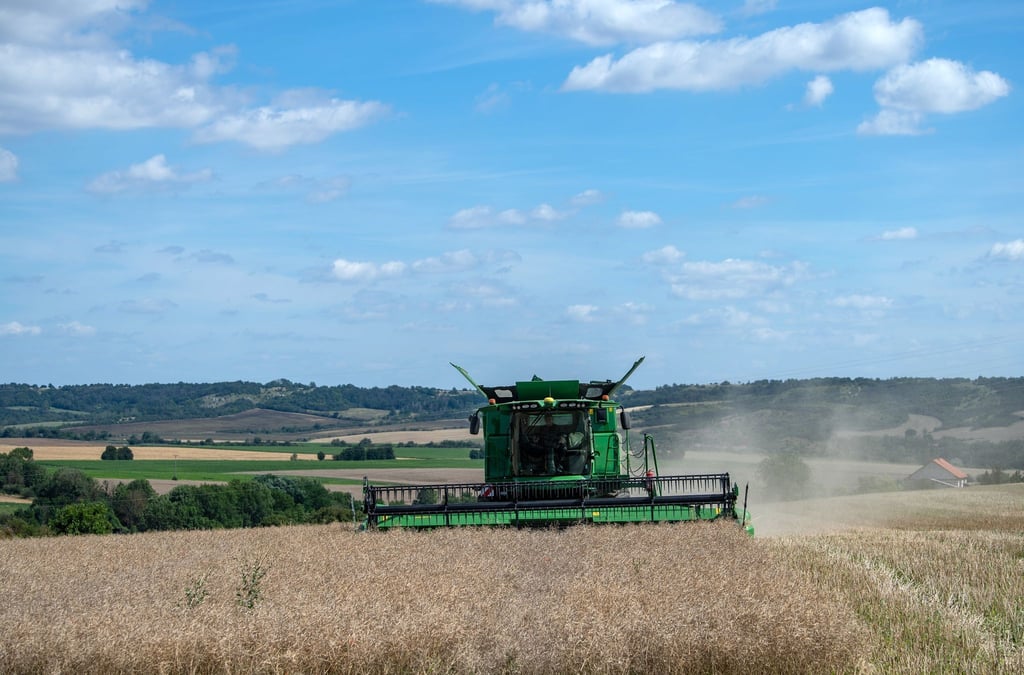 Ein Mähdrescher erntet Raps auf einem Feld.