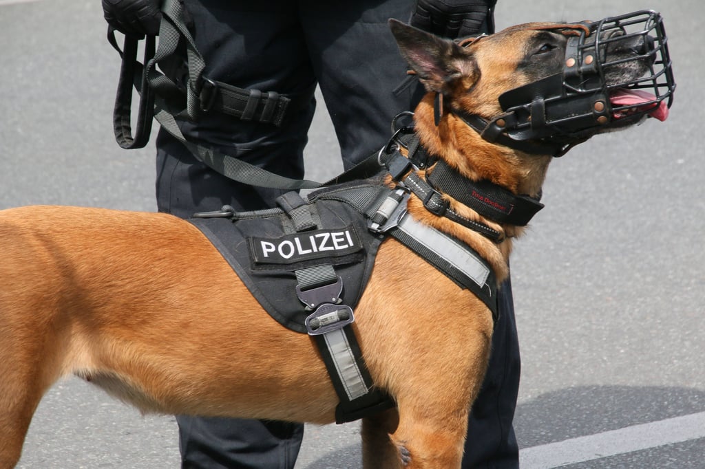Die Polizei setzte zur Suche auch Hunde ein.
