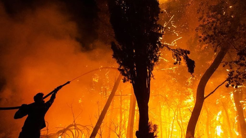 Griechenland, Athen: Ein Feuerwehrmann hält einen Wasserschlauch während der Löscharbeiten eines Waldbrandes im Norden von Athen. Die Feuerwehr kämpft unermüdlich, um die Brände einzudämmen, die in ganz Griechenland ausgebrochen sind.