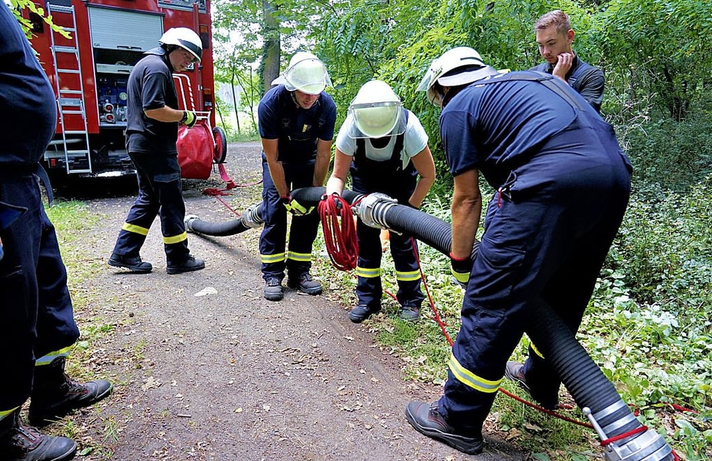 Mitglieder der Freiwilligen Feuerwehren könnten von einer Ehrenamtskarte Nutzen ziehen.