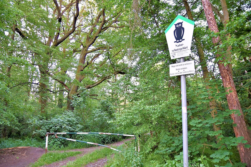 Mit ihren rund 282 Hektar ist die Kreuzhorst aktuell noch das einzige NSG in Magdeburg.