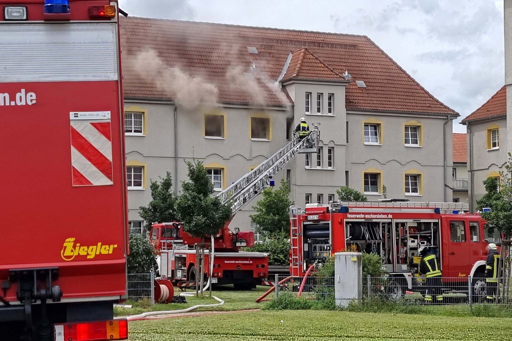 Mehrere Fahrzeuge und mehr als 30 Feuerwehrleute waren am Sonnabend in Aschersleben im Einsatz.