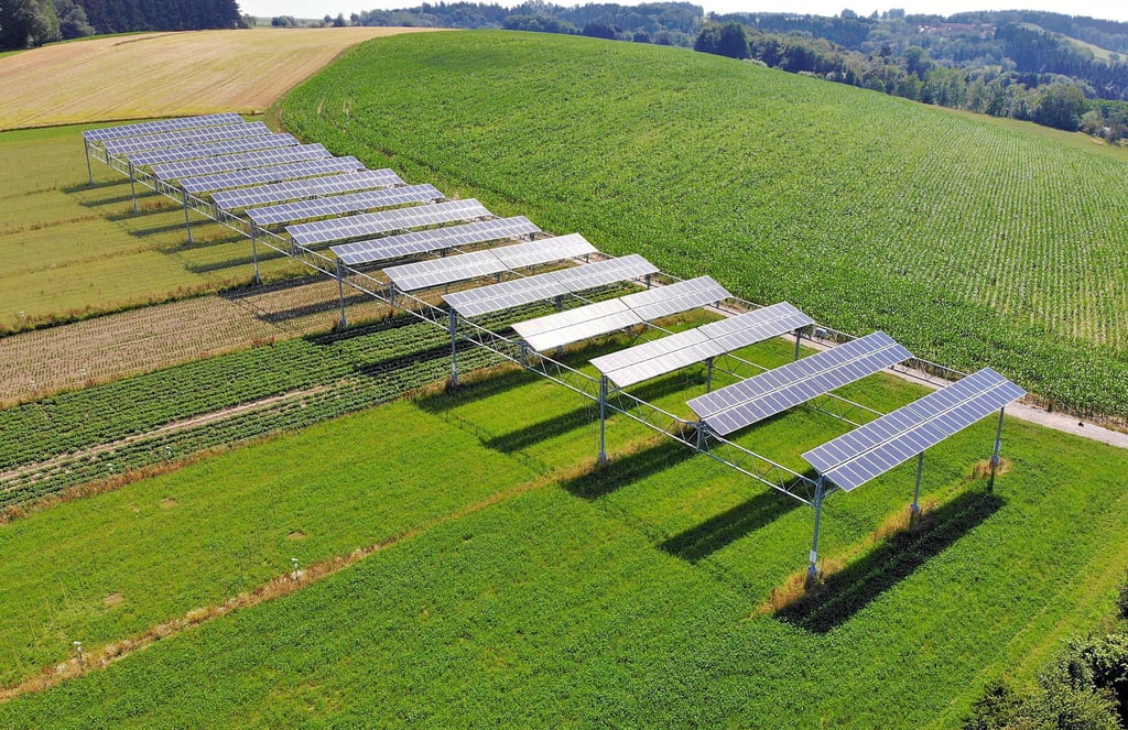 Diese Agri-Photovoltaik-Anlage in Süddeutschland. ermöglicht die landwirtschaftliche und energetische Nutzung.