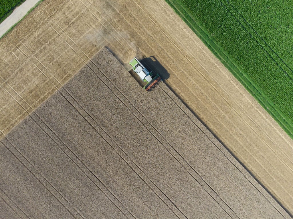 Ein Landwirt mäht mit einem Mähdrescher sein Weizenfeld (Luftaufnahme mit einer Drohne).