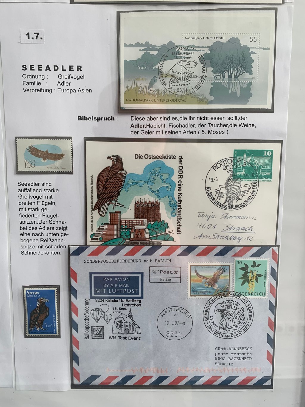 Ein Blick in die Ausstellung "Vögel der Bibel" in der Bibiothek der Theologischen Hochschule Friedensau.